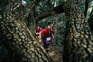 BIB: 
                            <button type="button" onclick="openModal(25392297)" class="btn btn-primary btn-sm float-right btn-popup" data-toggle="modal" data-target=".modal-high-quality">
                        <i class="fas fa-shopping-cart"></i> Add to Cart
                    </button>
                                            <button type="button" onclick="isThisMe(25392297, true)" class="btn btn-success btn-sm float-right btn-popup btn-isme hidden" data-toggle="tooltip" data-placement="bottom" title="นี่คือรูปของคุณใช่ไหม คลิกที่นี่เพื่อเอาเข้าอัลบั้ม">
                        <i class="fas fa-plus"></i> Add to album
                    </button>
                    <button type="button" onclick="isThisMe(25392297, false)" class="btn btn-warning btn-sm float-right btn-popup btn-isnotme hidden">
                        <i class="fas fa-ban"></i> Remove from album
                    </button>